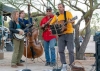 The Boulder Hoppers, (left to right) Theresa Walsh, Forest Walsh, Mark Ross, and Erik Kramer-Webb perform at the Climb Smart event, Joshua Tree, Calif. on Saturday, October 19, 2019.   The local Joshua Tree bluegrass ensemble includes owner/guides Kramer-Webb and T. Walsh from the California Climbing School. (Photo by Suzanne Steiner)