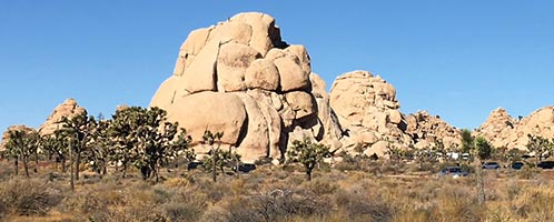 Joshua Tree Intersection Rock