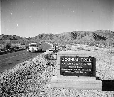 Joshua Tree National Monument