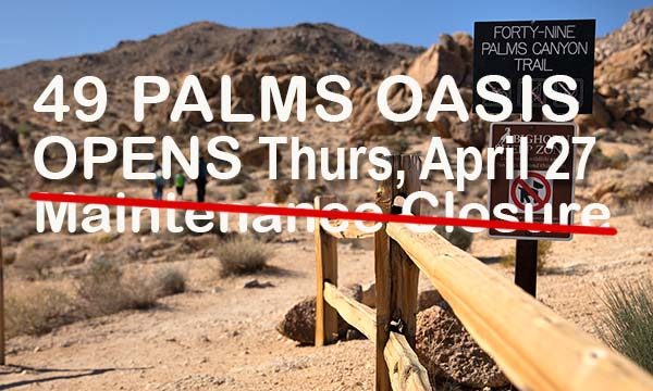 49 Palms Oasis Trail reopens