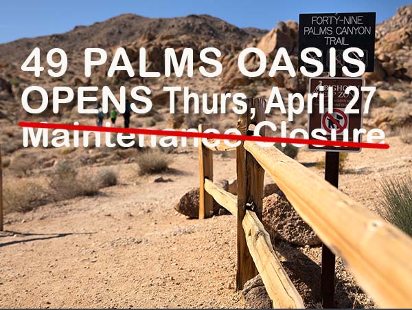 49 Palms Oasis Trail REOPENS