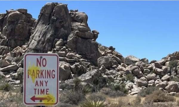 Paintball tagging in Joshua Tree