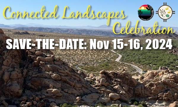 Connected Landscapes Celebration 2024