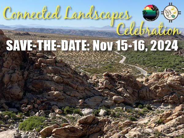 SAVE-THE-DATE: November 15-16, 2024