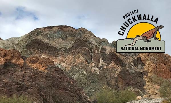 Chuckwalla National Monument