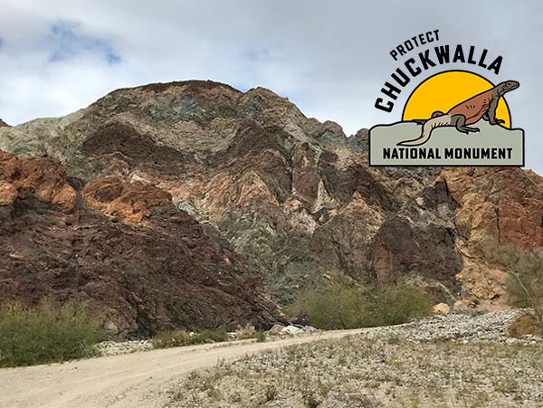 CHUCKWALLA NATIONAL MONUMENT BECOMES REALITY